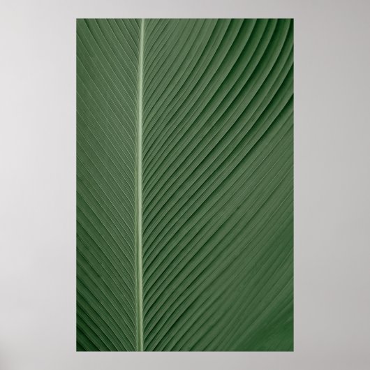 Groene en witte gestreepte textielstof poster (Voorkant)