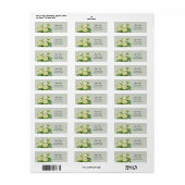 Groene en Witte Pioen Elegant Trouwadres Etiket (Full Sheet)
