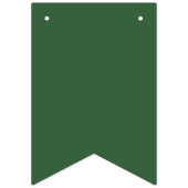 Groene en Witte Schoolkleuren Afstuderen Vlaggetjes (Eerste vlag)