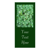 Groene en Witte Shamrocks ' Rack Kaart (Voorkant)