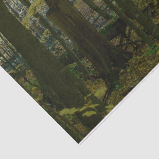 Groene en zwarte bomen tissue papier (Detail)