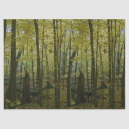 Groene en zwarte bomen tissue papier