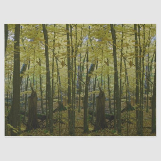 Groene en zwarte bomen tissue papier (Voorkant)