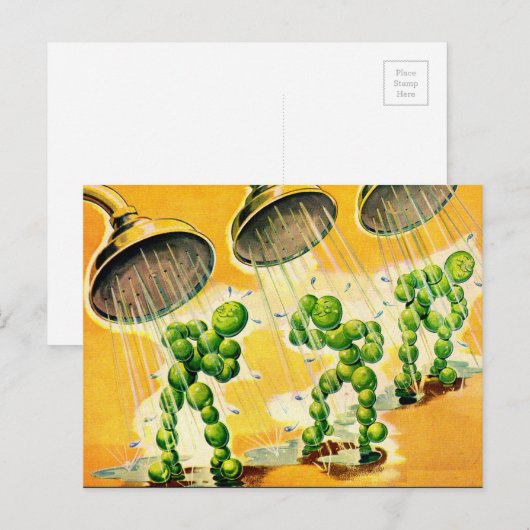 groene erwten met douches briefkaart (Voorkant / Achterkant)