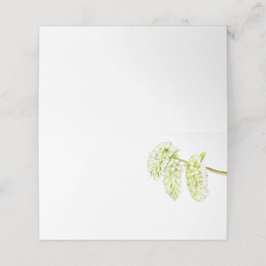 Groene espen catkins waterverf naam plaatskaartje (Buitenkant ongevouwen)