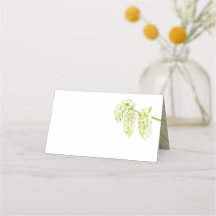 Groene espen catkins waterverf naam