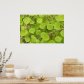 groene espenbladeren poster (Keuken)