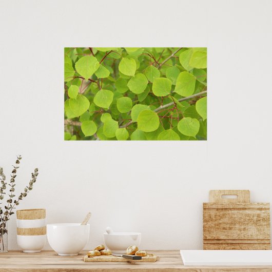 groene espenbladeren poster (Keuken)