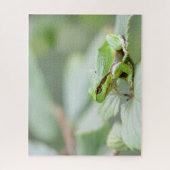 Groene Europese boomkikker dicht Legpuzzel (Verticaal)