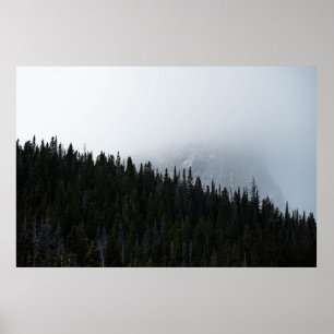 GROENE EVERGREEN BOMEN ONDER EEN CLOUDY SKY POSTER