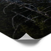 GROENE EVERGREEN BOMEN ONDER EEN CLOUDY SKY POSTER (Hoek)