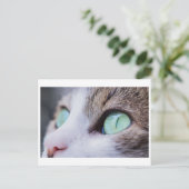 GROENE EYED CAT-FOTOGRAFIE BRIEFKAART (Staand voorkant)