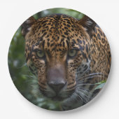 Groene Eyed Jaguar, Papieren Bordje (Voorkant)
