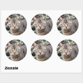 Groene Eyed Tabby Cat grote stickers (Vel)