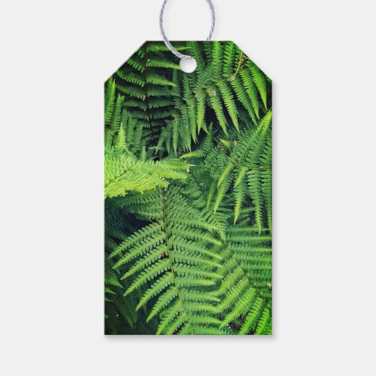 Groene fern cadeaulabel (Voorkant)
