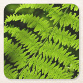 Groene fern kartonnen onderzetters (Voorkant)
