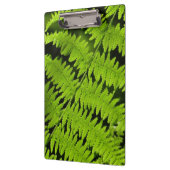 Groene fern klembord (Links)