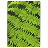 Groene fern klembord (Achterkant)