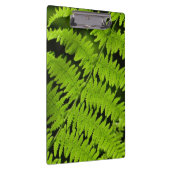Groene fern klembord (Rechts)