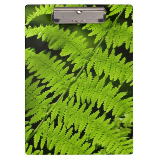 Groene fern klembord (Voorkant)