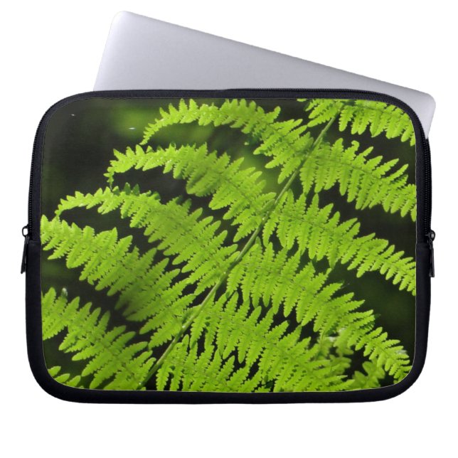 Groene fern laptop sleeve (Voorkant)