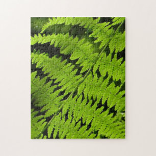 Groene fern legpuzzel