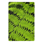 Groene fern mini klembord (Achterkant)