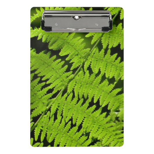 Groene fern mini klembord (Voorkant)