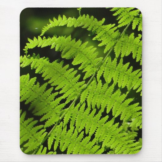 Groene fern muismat (Voorkant)