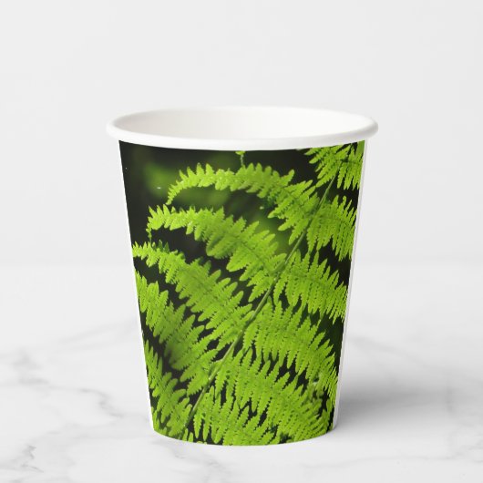 Groene fern papieren bekers (Achterkant)