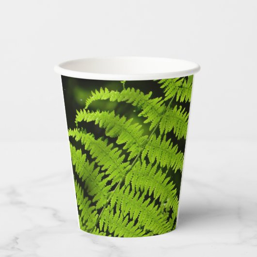 Groene fern papieren bekers (Voorkant)
