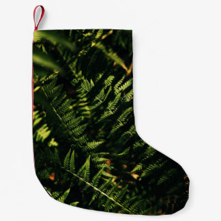 GROENE FERN-PLANT IN DICHTERE FOTOGRAFIE KLEINE KERSTSOK