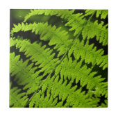 Groene fern tegeltje (Voorkant)