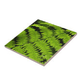 Groene fern tegeltje (Zijkant)