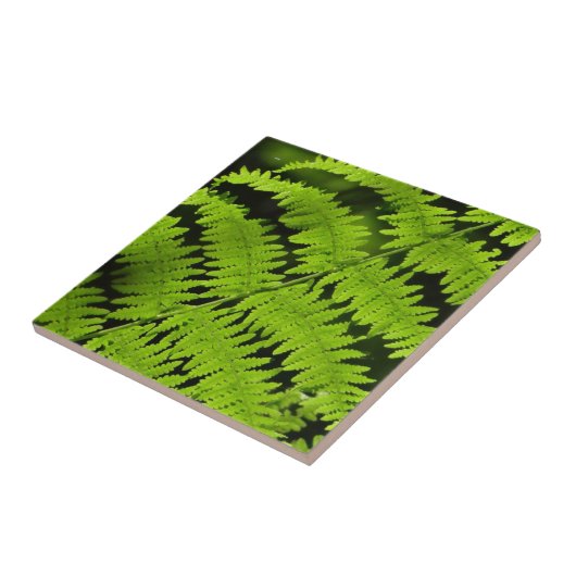Groene fern tegeltje (Zijkant)