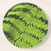 Groene fern zandsteen onderzetter (Voorkant)
