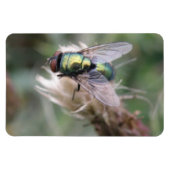 Groene fles met macropremium Magnet Magneet (Horizontaal)