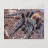 Groene flesje Blauwe Post Kaart (Voorkant)