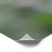 Groene flesje met Macro-Poster Poster (Hoek)