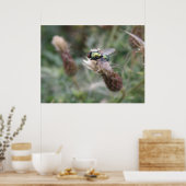 Groene flesje met Macro-Poster Poster (Keuken)