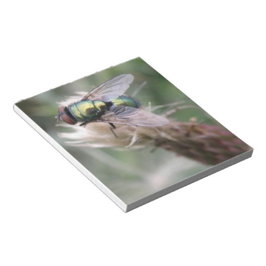 Groene flessenbak voor Macro Blocnote (Schuin)