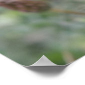 Groene Fliegen Macro Poster (Hoek)