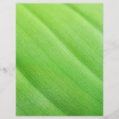 groene flyer voor op maat gemaakte case (Achterkant)