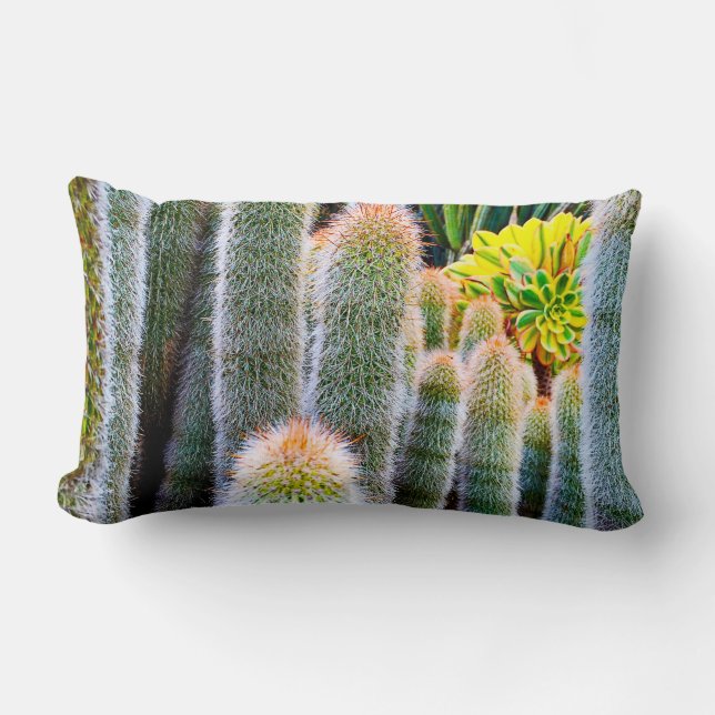 Groene fuzzy cactussen sappige foto vet modern chi kussen (Voorkant)