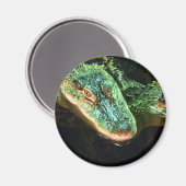 Groene Gators Magneet (Voorkant / Achterkant)