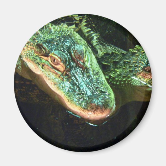 Groene Gators Magneet (Voorkant)