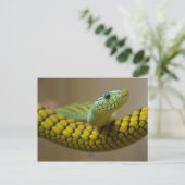 GROENE GEEL SCHAALD REPTILE FOTOGRAFIE VAN DE NEMI BRIEFKAART (Staand voorkant)