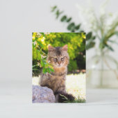 Groene geestte kat in het Briefkaart van Ravello (Staand voorkant)