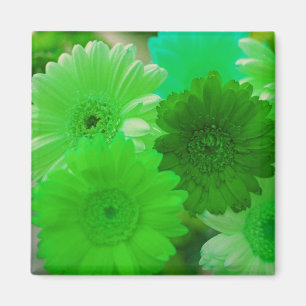 Groene Gerbera Daisy Flowers koelkast Magneten