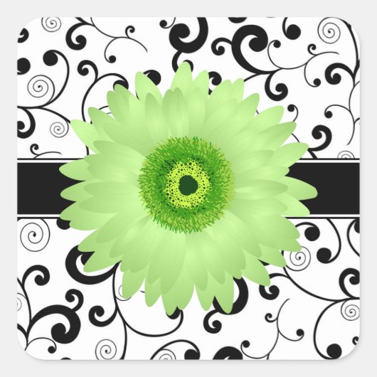 Groene Gerbera Daisy met zwarte Scroll Design Seal Vierkante Sticker (Voorkant)